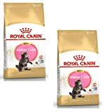 Royal Canin Maine Coon Trockenfutter für Kätzchen - Doppelpack - 2 x 400g