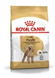 Royal Canin Poodle Adult - 500g