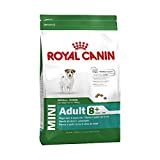 ROYAL CANIN SHN Mini Adult+8 8kg