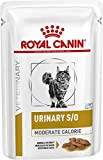 Royal Canin Urinary s/o Moderate Calorie Feline - Nassfutter für Katzen - Bundle - 4 x 12 x 85 g