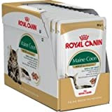Royal Canin Wet Breed Maine Coon Beutel für Erwachsene, 85 g, 48 Stück