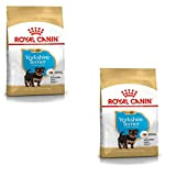 Royal Canin Yorkshire Terrier Puppy - Trockenfutter für Welpen - Doppelpack - 2 x 500g