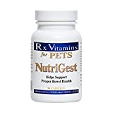 Rx Vitamins Nutrigest für Hunde und Katzen für Haustiere, unterstützt die richtige Darm- und Verdauungsgesundheit, tierärztlich formuliertes Probiotikum, 90 Kapseln