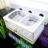 SENZEAL Aquarium Netz Ablaichbehälter Fisch Isolation Zuchttank Brutkasten Inkubator Mesh Fisch Tank Isolation Box für Aquarium Baby Fisch mit 3er ...