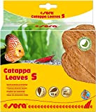 sera Catappa Leaves S 10-15 cm (10St) - Seemandelbaumblätter für die natürliche Wasseraufbereitung