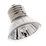 Sharplace E27 Wärmelampe Tageslichtlampe UVA UVB Glühlampe Wärmestrahler für Terrarium Reptilien, 50w