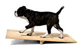 SUNNYDOGS Holz-Wippe für Welpen 60 cm lang, 60x40x10cm, Hundespielzeug, Hundesport