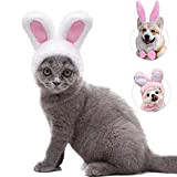 Swim Apex 3er Pack süße Hasenohren für Katzen kleine Hunde Haustiere Kopfbedeckungen Festival Kostümzubehör,Zubehör süße Ohren Stirnband Schwanz Fliege für ...