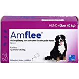 TAD Amflee 402 mg Lösung zum Auftropfen für Hunde über 40 kg, 3 St. Ampullen