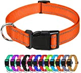 TagME Nylon Hundehalsband, Verstellbares Reflektierendes Hundehalsband mit Sicherheitsschnalle für Mittlere Hund, Orange, 2.5cm Breite