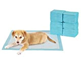 TERRA SELL Premium Hunde-Toilette - 50er Set Hygiene Unterlagen für Haustiere - Saugstarkes Hundeklo - Welpentoilette zur Sauberkeitserziehung 56 x ...