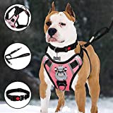 TIANYAO Dog Harness No-Pull Dog Vest Set Reflective Adjustable Oxford Material Pet Harness for Medium Large Dogs with Leash and ...