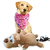 TINGERIA® Hunde Spielzeug mit Halstuch für kleine & große Hunde, Hundespielzeug quietschend, Welpenspielzeug Spielsachen Kuscheltier Plüschtier unzerstörbar