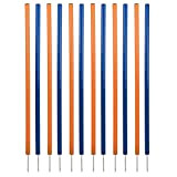 Trixie 3206 Dog Activity Agility Slalom, Kunststoff, ø 3 × 115 cm, 12 St., blau/orange