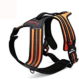 Truelove TLH5551 Dog Harness (Medium, Orange)