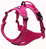 Truelove TLH5651 Dog Outdoor Harness (Small, Pink)