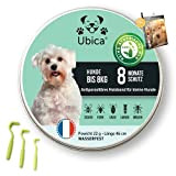 Ubica® Flohhalsband Hunde - Zeckenhalsband für Hunde - Flohmittel Hund (< 8kg) - Formel mit ätherischen Ölen (Zitronengras) -100% WASSERDICHT ...