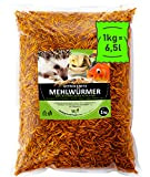 UGF - Premium Mehlwürmer getrocknet 1 Kg, Insekten Snacks für Vögel, Hamster, Igel, Nager, Eidechsen, Schildkröten – ohne Konservierungsmittel und ...