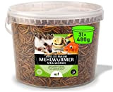 UGF - Premium Mehlwürmer getrocknet 3 Liter Eimer, Vogelfutter Wildvögel Ganzjährig, Igelfutter, Hühnerfutter, Eichhörnchen Futter, Hamster Futter