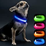Visinite Leuchthalsband Hund,Wasserdicht,Verstellbare,USB Aufladbar LED Hunde Halsbänder, Leuchtet im Dunkeln, Leuchtendes Hundehalsband hält Ihren Kleinen Hund Sichtbar und Sicher,Blau,S