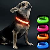 Visinite Leuchthalsband Hund,Wasserdicht,Verstellbare,USB Aufladbar LED Hunde Halsbänder, Leuchtet im Dunkeln, Leuchtendes Hundehalsband hält Ihren Kleinen Hund Sichtbar und Sicher,Orange,S