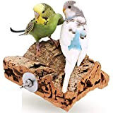 Vogelgaleria Korksitzbrett 10x10cm für Wellensittich, Nymphensittich zum Knabbern und Sitzen| Handgemachtes Vogelzubehör aus Deutschland, Sitzbrett für Vögel