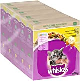 Whiskas Junior Trockenfutter - Katzentrockenfutter für kleine Katzen - Huhn - 5 x 800g