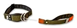 WowWow Professional Hundehalsband mit Leine - Khaki - Größe L 46-66 cm, 205g leicht, innovatives Halsband mit integrierter Leine - ...