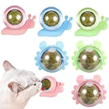 Xinstroe 6 Stück Katzenminze Balls,Katzenminze Balls für Katzen,Drehbares Katzenminze Balls,Selbstklebende Katzenminze  für Katzen Zahnpflege
