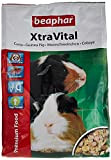 XtraVital Meerschweinchen Futter | Reich an Vitamin C | Mit zahnpflegenden Eigenschaften | Geringer Fettgehalt | Mit Echinacea & Alfalfa ...