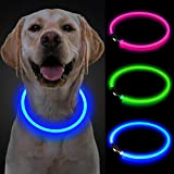 Yepnfro Leuchthalsband Hund, LED Hundehalsband Leuchtend USB Aufladbar Wasserdicht, Längenverstellbar Halsband Hund Leuchtend mit 3 Leuchtmodi für Kleine Mittlere Große ...