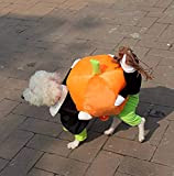 YiZYiF Hund tragen Kürbis Kostüm/Piratenkostüm komische Kleidung Katze Haustier Hundekostüm S-2XL (X-Large, Kürbis Kostüm)
