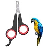 Zerodis Bird Nail Clipper Grooming Tool Nagelschere Clipper Pet Bird Papagei Kleintiere Zubehör für kleine Papageienvögel