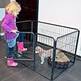 zooprinz erstklassiges Freilaufgehege (Hundezaun) Dog Run - ideal für Welpen und große Hunde - Besonders stabiles Gitter - perfekt für drinnen ...